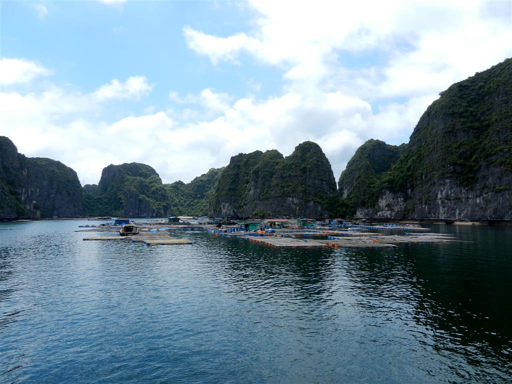 Halong bay krabben kwekerijen