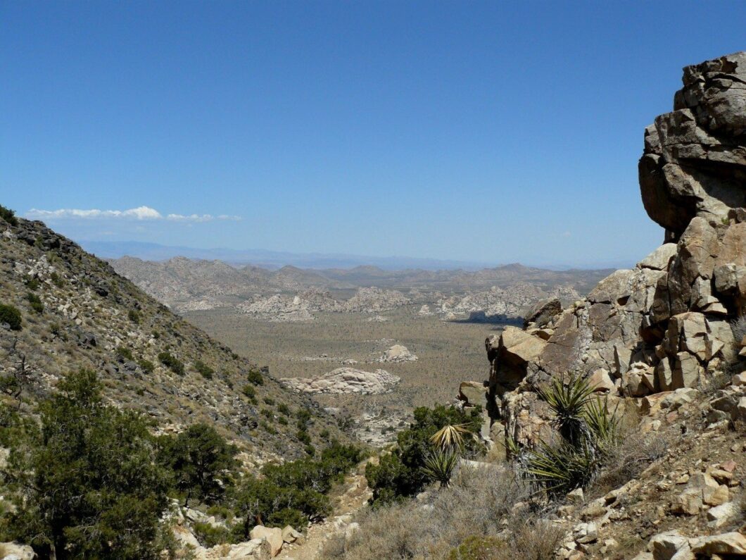 Joshua Tree Californie