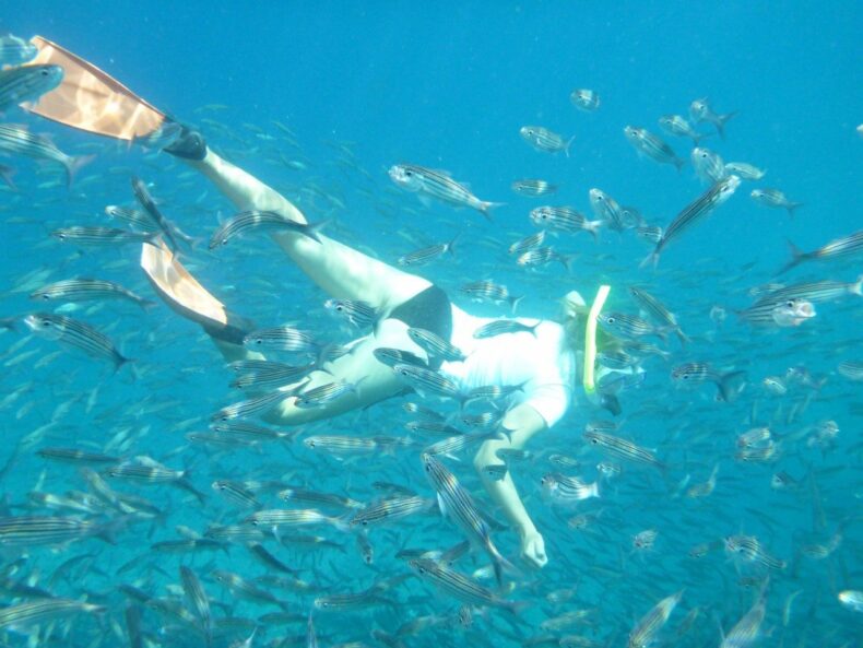 snorkelen op de galapagos