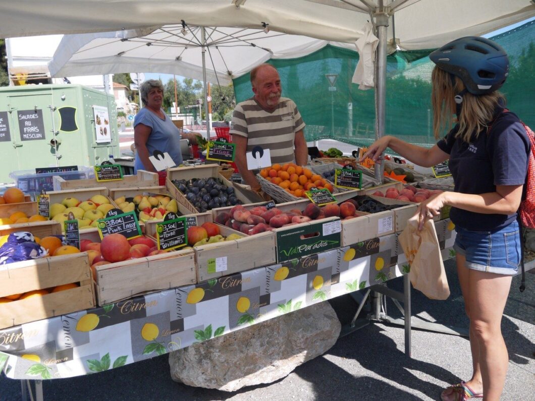 Fruit voor de picknick