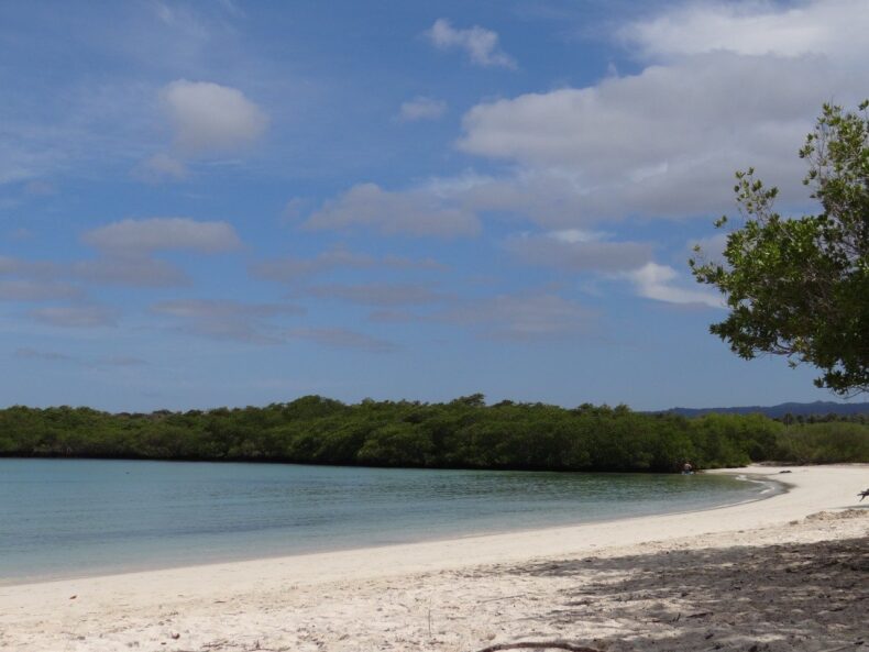 Galapagos baai