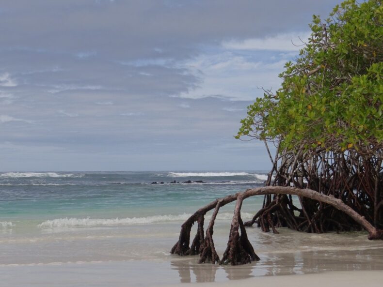 Galapagos beach