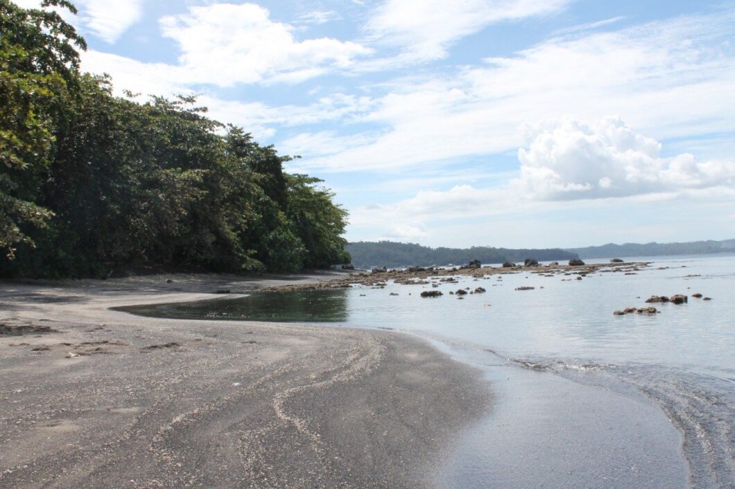 Onderweg naar Tangkoko
