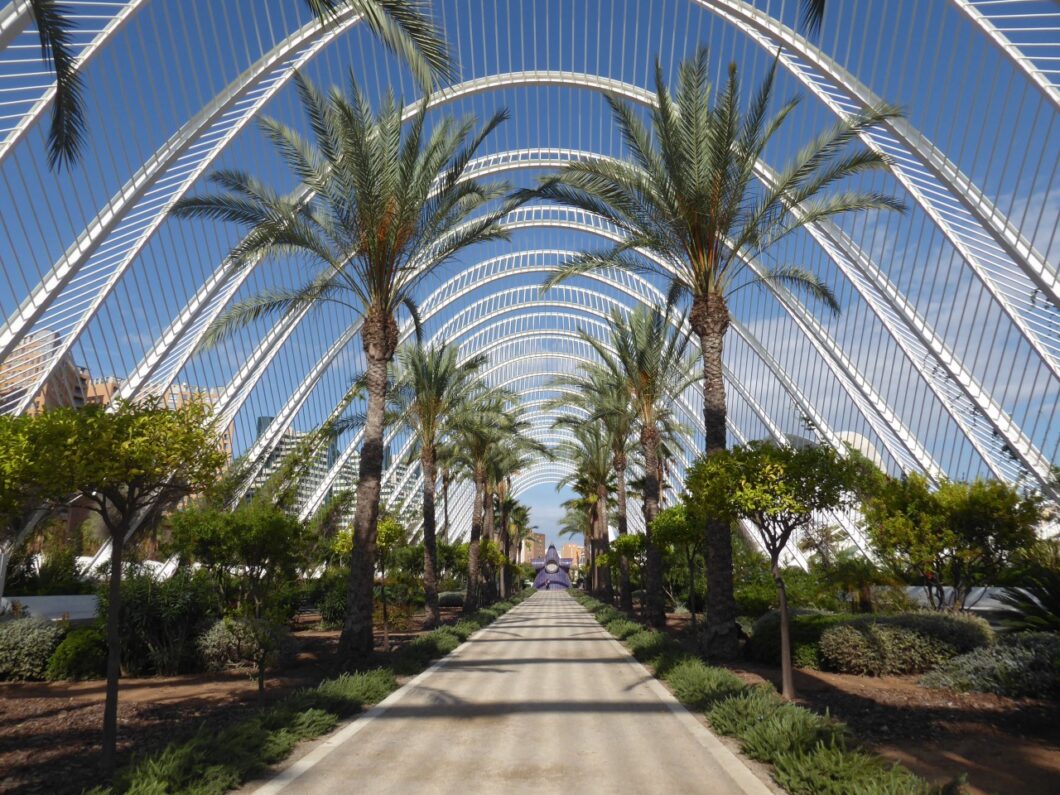 valencia-op-de-fiets