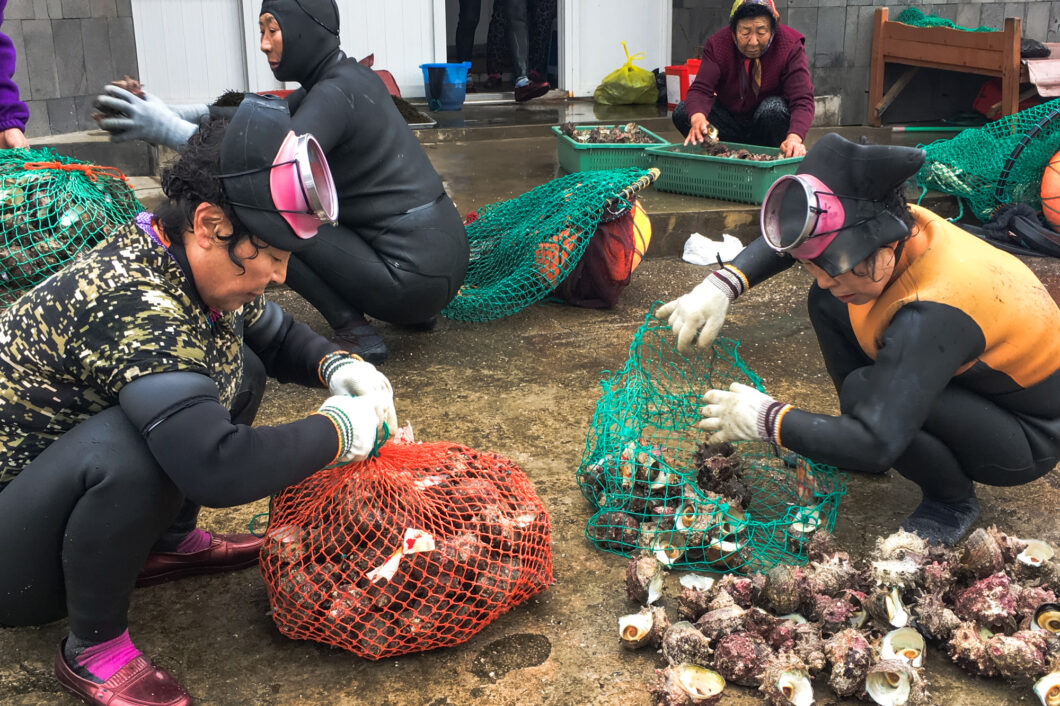 duikende oma's jeju island