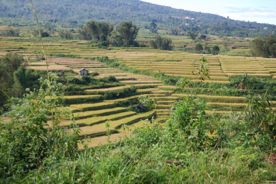 Flores-Indonesie