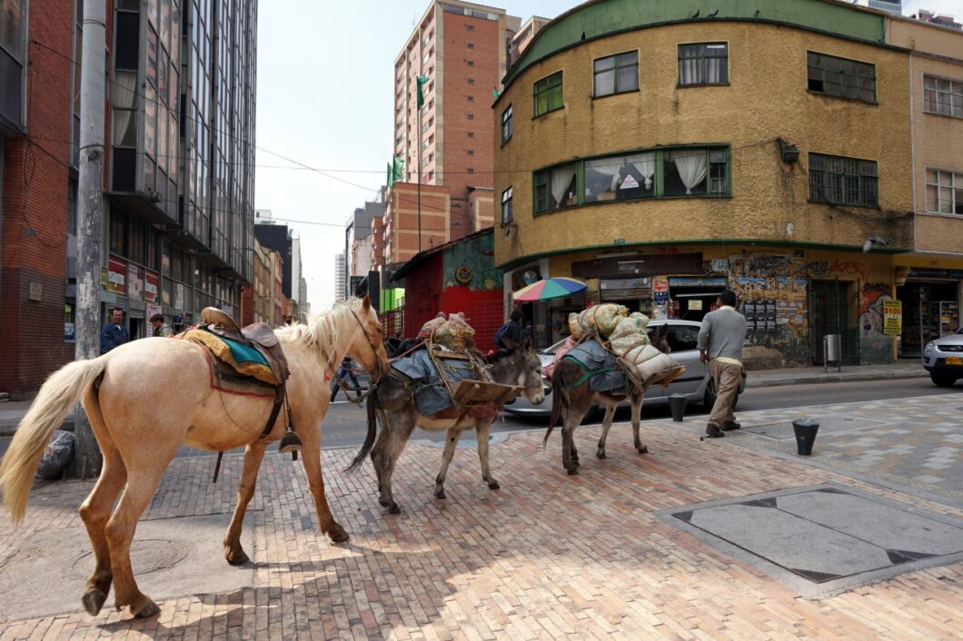 Colombia-Bogota-horses