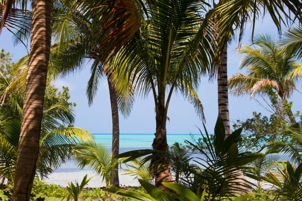 Belize-Uitzicht_Glovers3
