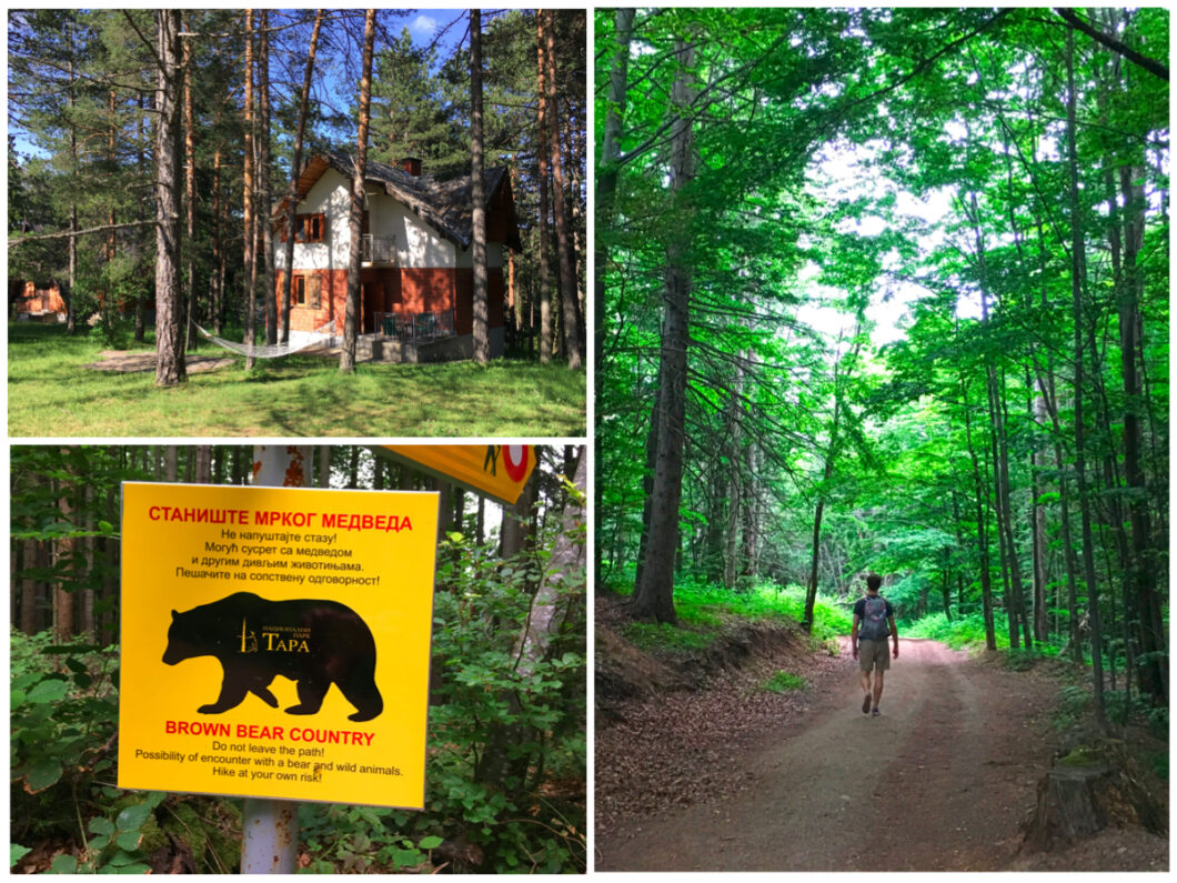 tara-national-park-servie