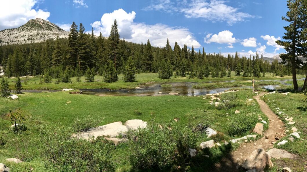 Bear Creek