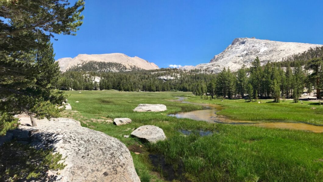 Crabtree Meadow