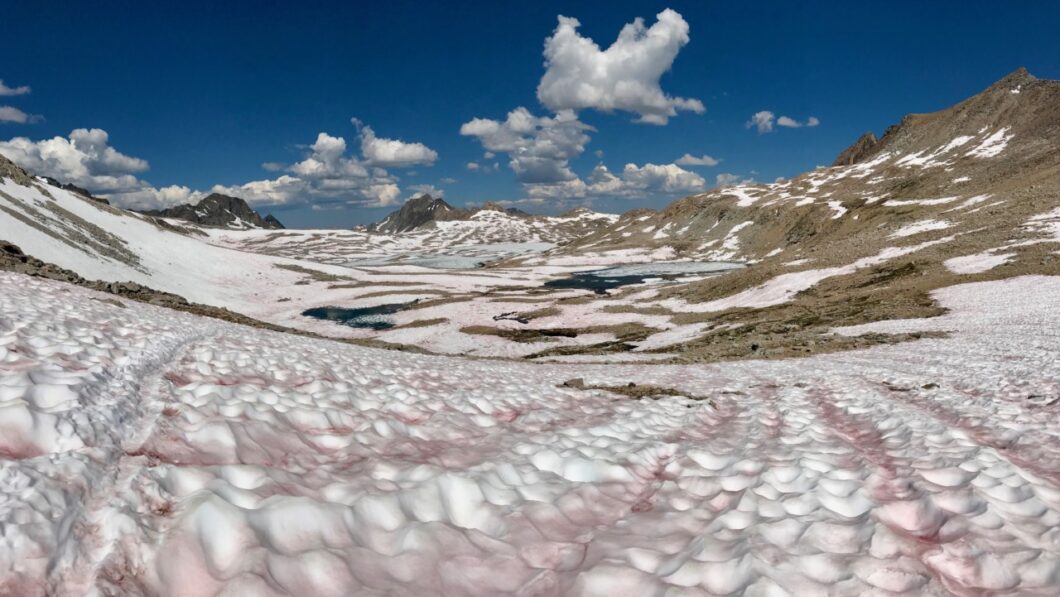 Muir Pass North