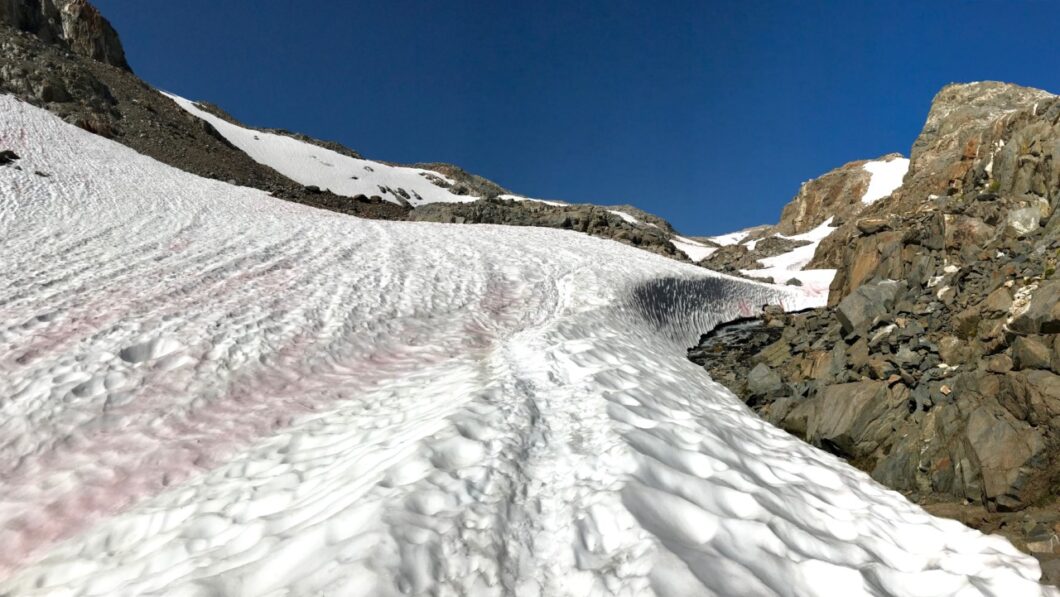 Snowfields on Muir Pass