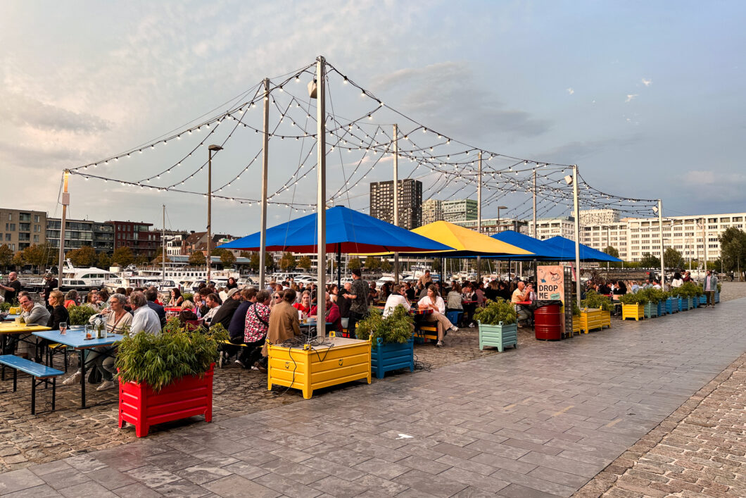 Wolf sharing food market terras antwerpen