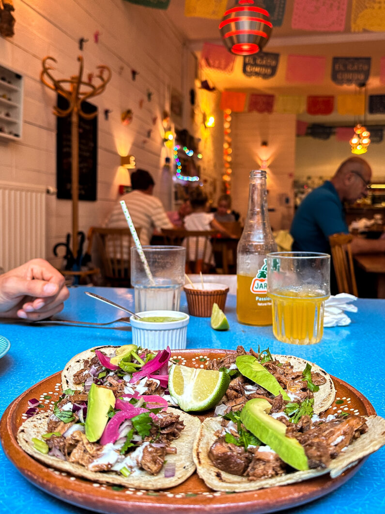 lunch el gato gordo antwerpen
