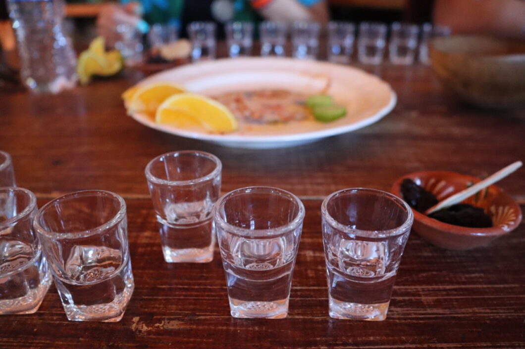 mezcal tasting oaxaca
