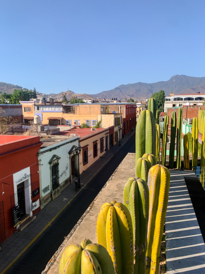 rooftop la madre oaxaca stad