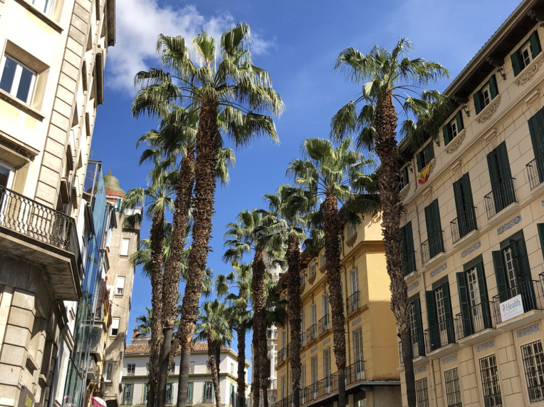 Malaga stad uitzicht