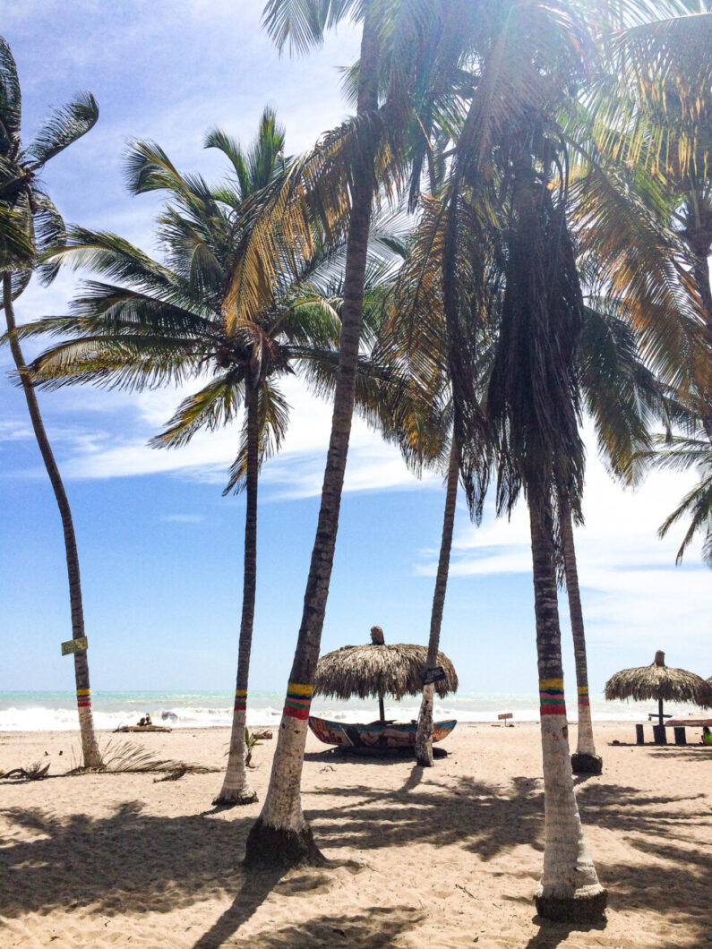 doen in palomino tips