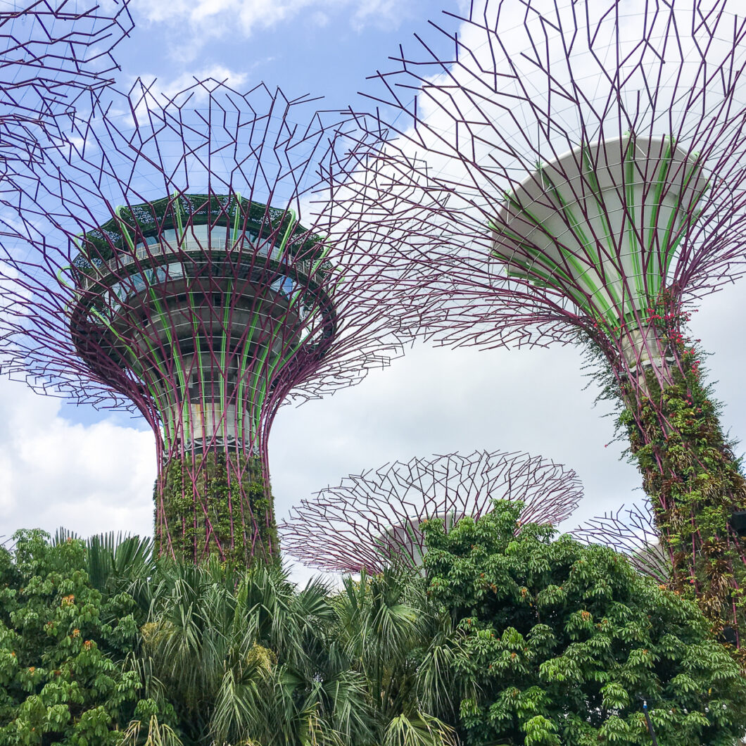 gardens by the bay singapore
