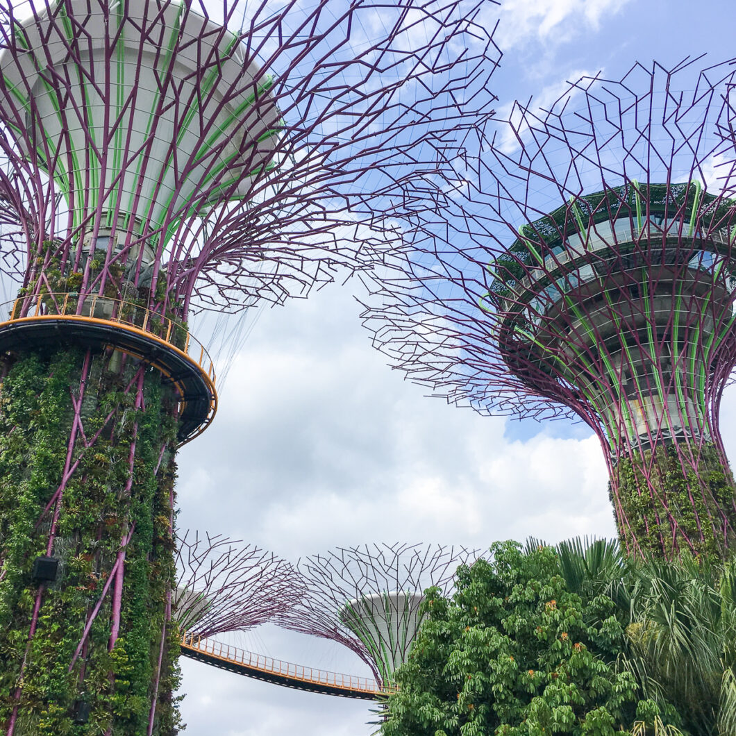 gardens by the bay zien singapore