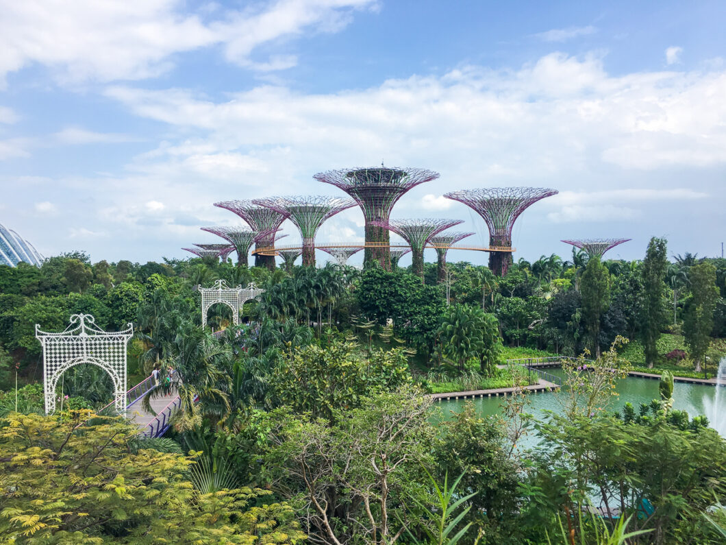 stedentrip singapore Gardens by the Bay