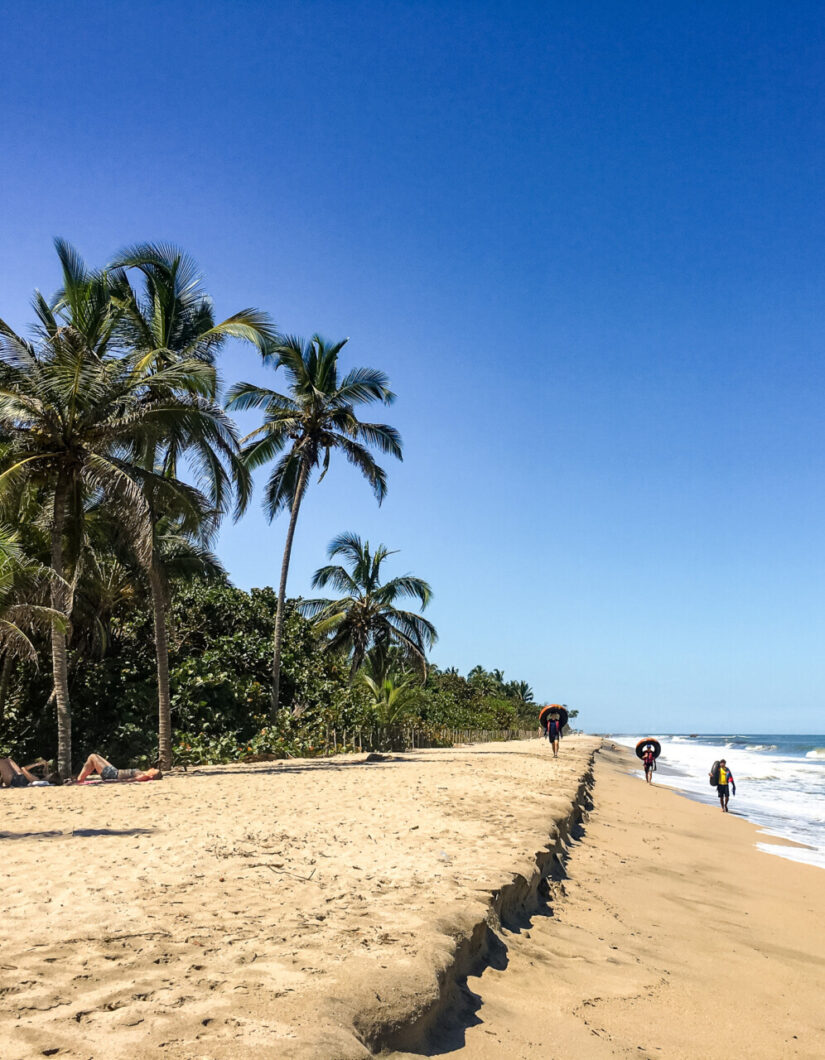 tuben palomino colombia