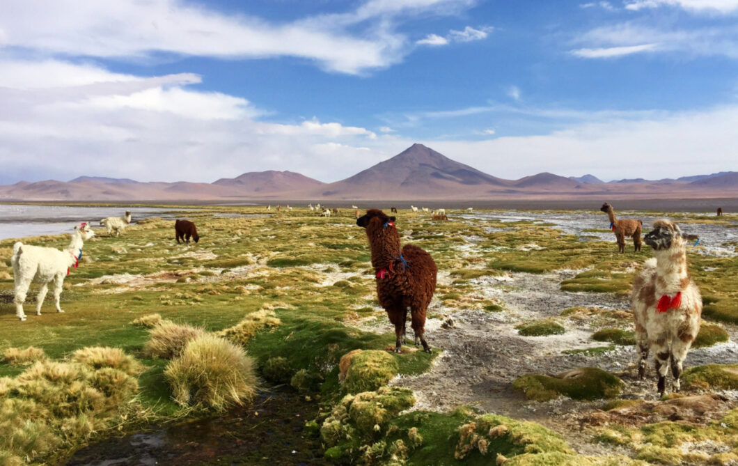 rondreis bolivia bezienswaardigheden