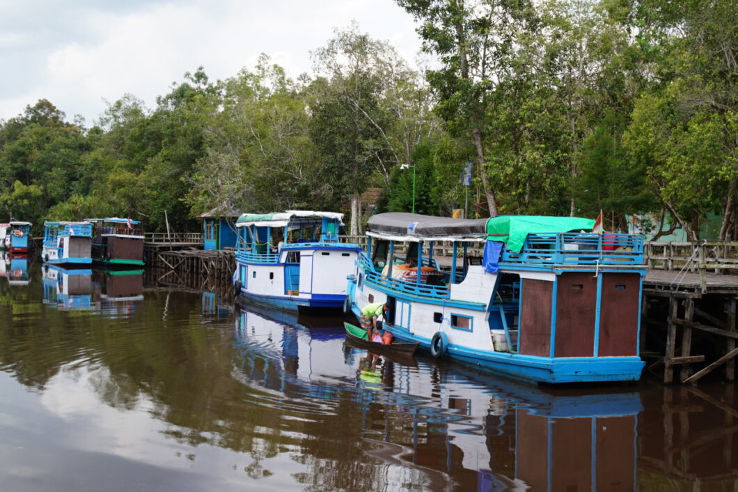 Kalimantan-Tanjung-Puting-Tanjung-Harapan 07.21.56