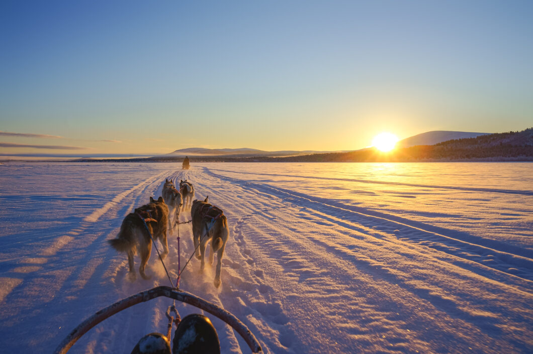 Lapland highlights, huskytocht
