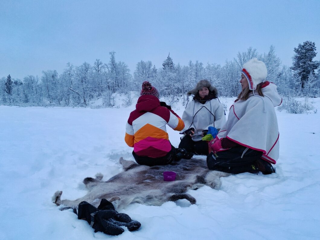 wildlife fototour kiruna lapland