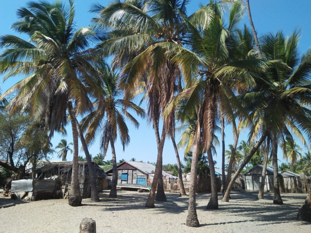 Reizen door Madagaskar