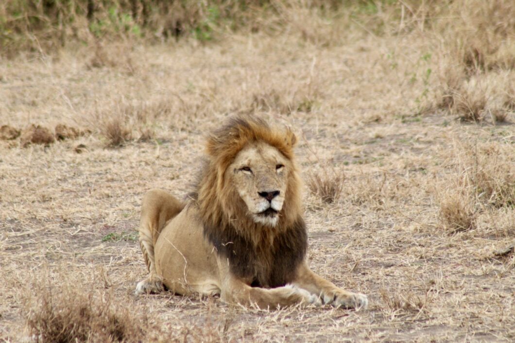 bezienswaardigheden Tanzania