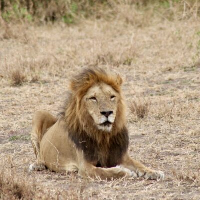 bezienswaardigheden Tanzania