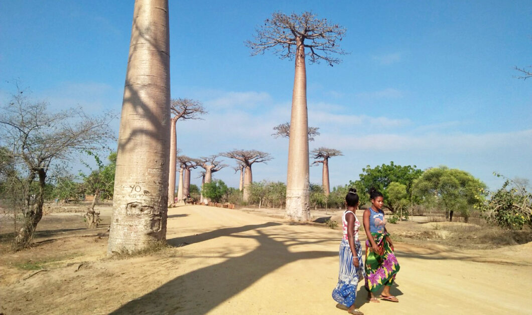 reisadvies-madagascar-fb
