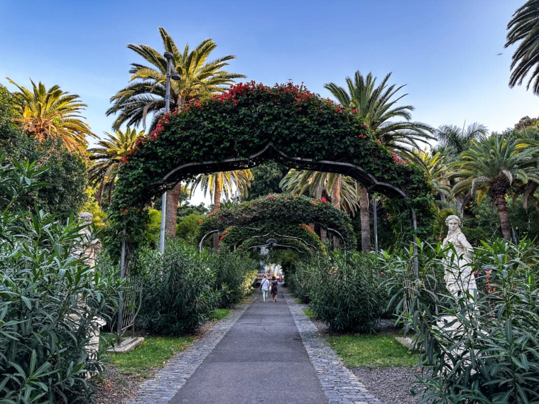 botanische tuin santa cruz tenerife