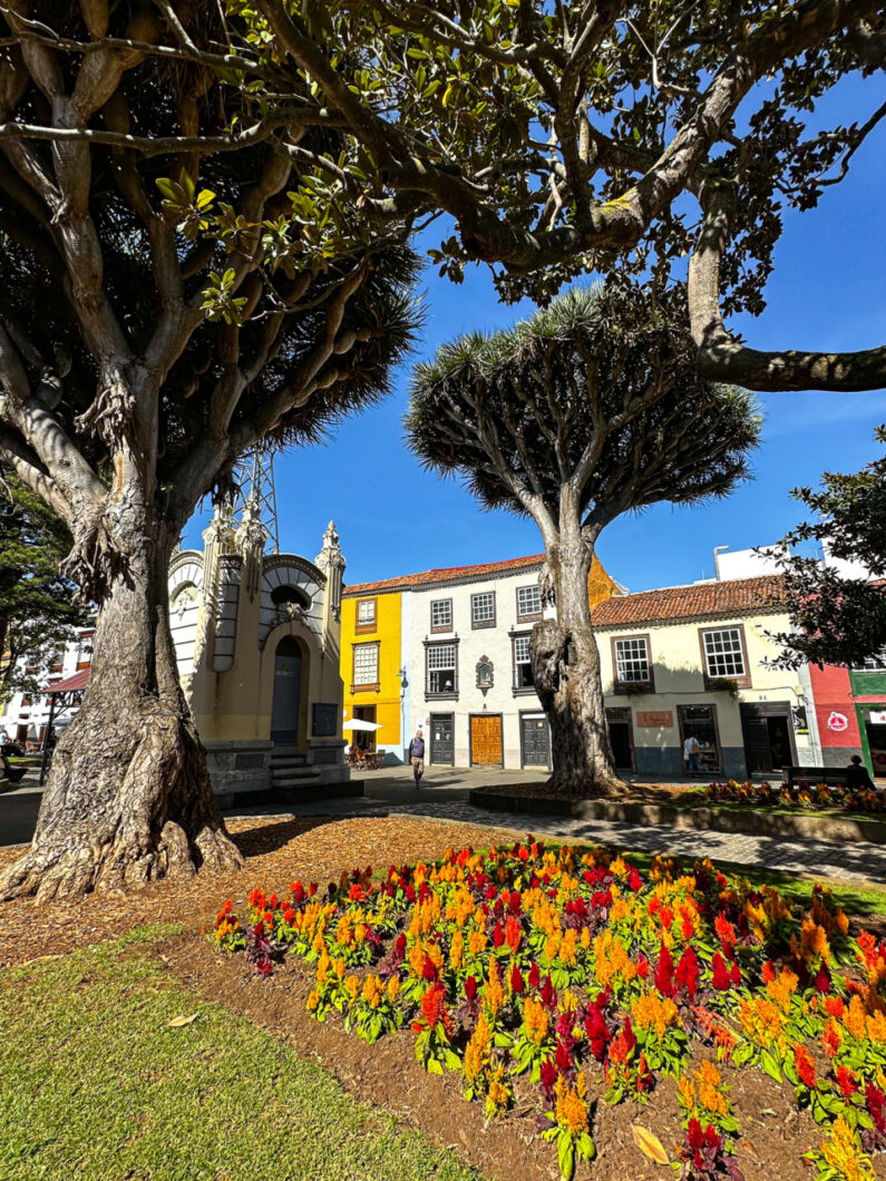 la laguna tenrife