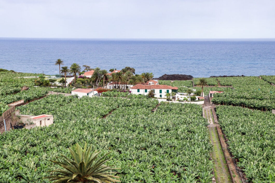 slapen op bananenplantage tenerife
