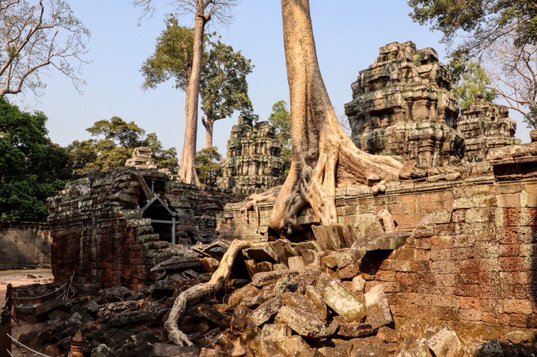 ta prohm tempel siem reap