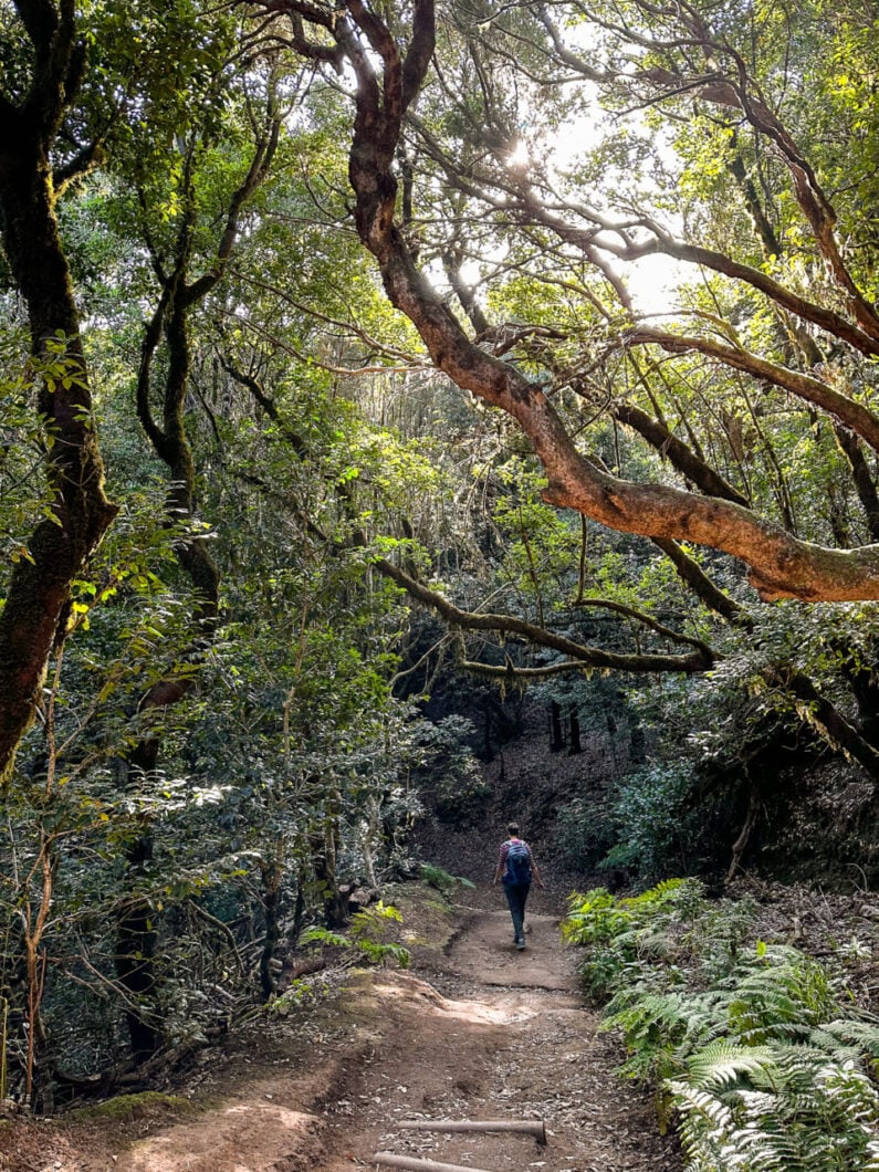 wandelen op Tenerife, anaga rural park