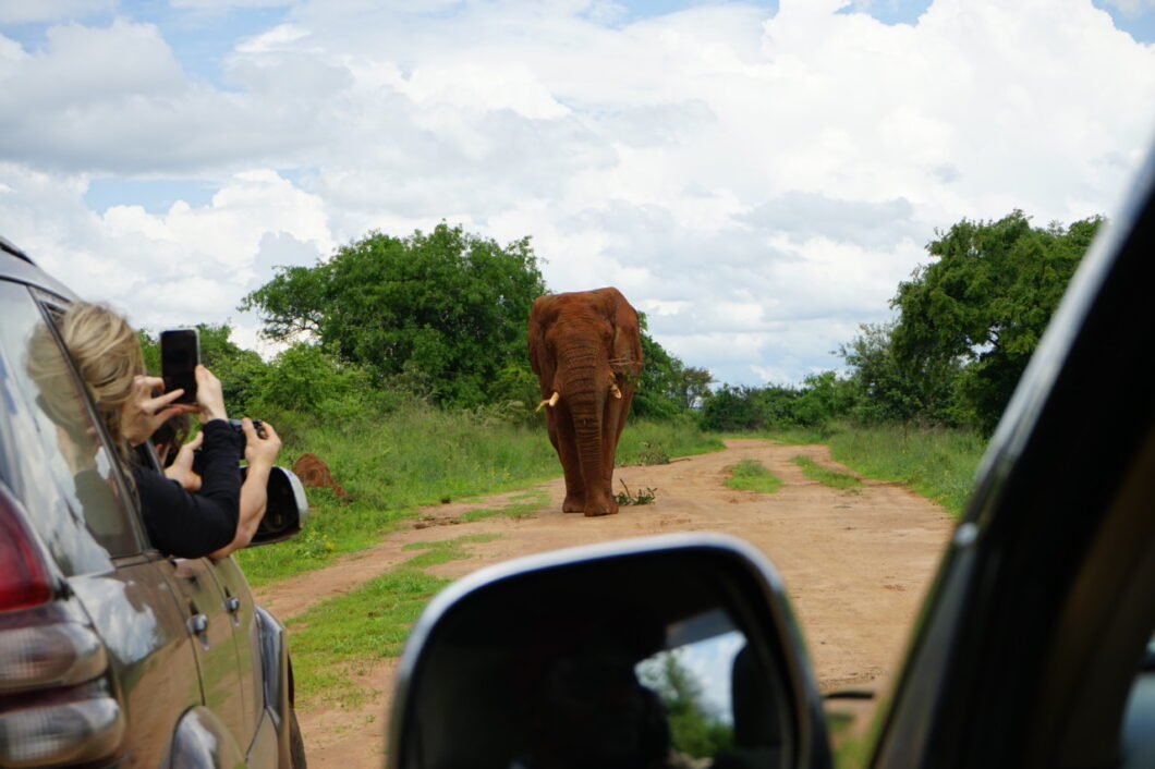 game drive rwanda