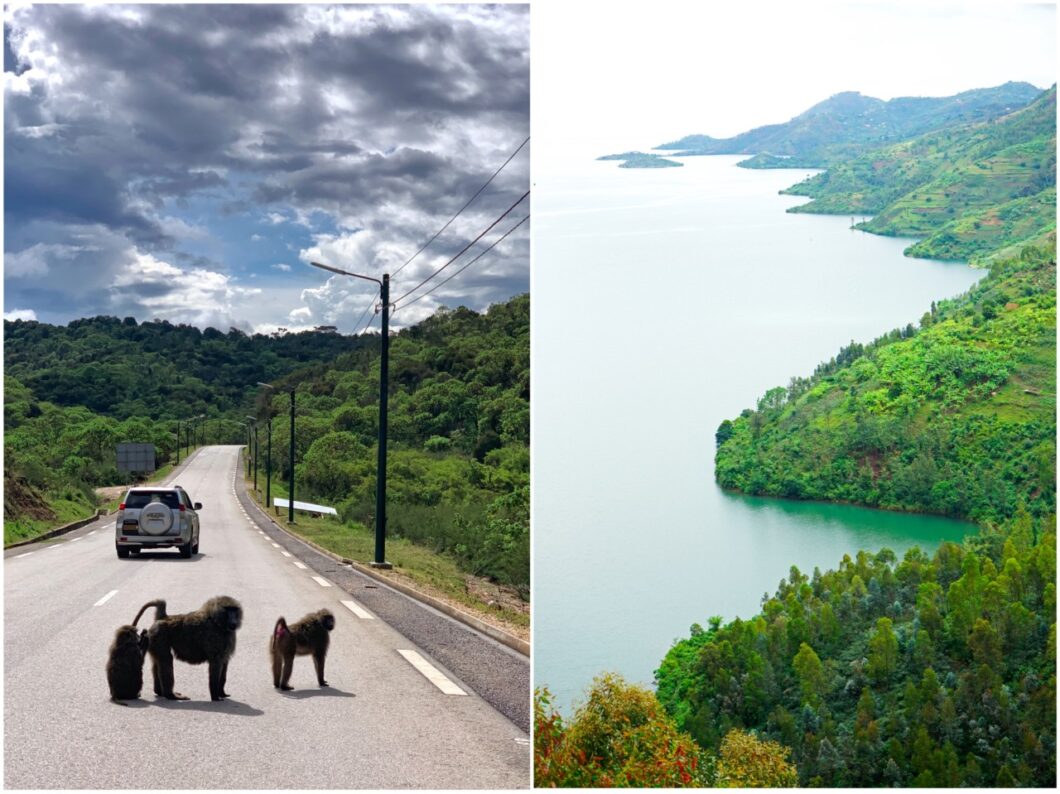 rondreis rwanda