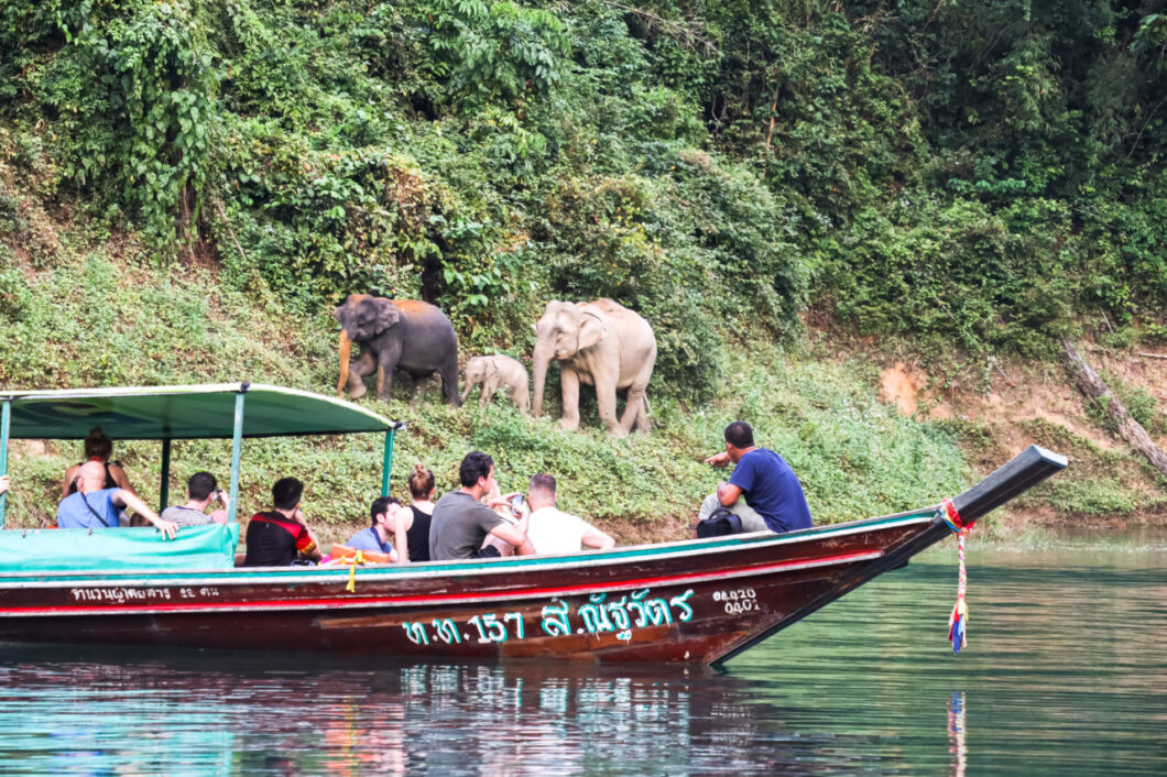 boat tour khao sok national park