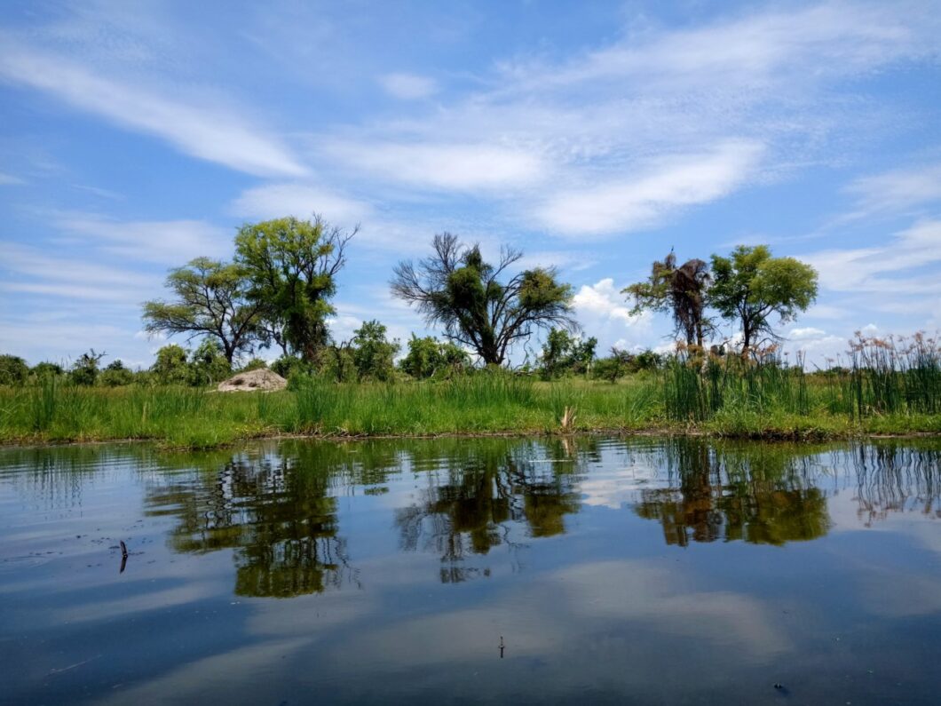 Botswana safari