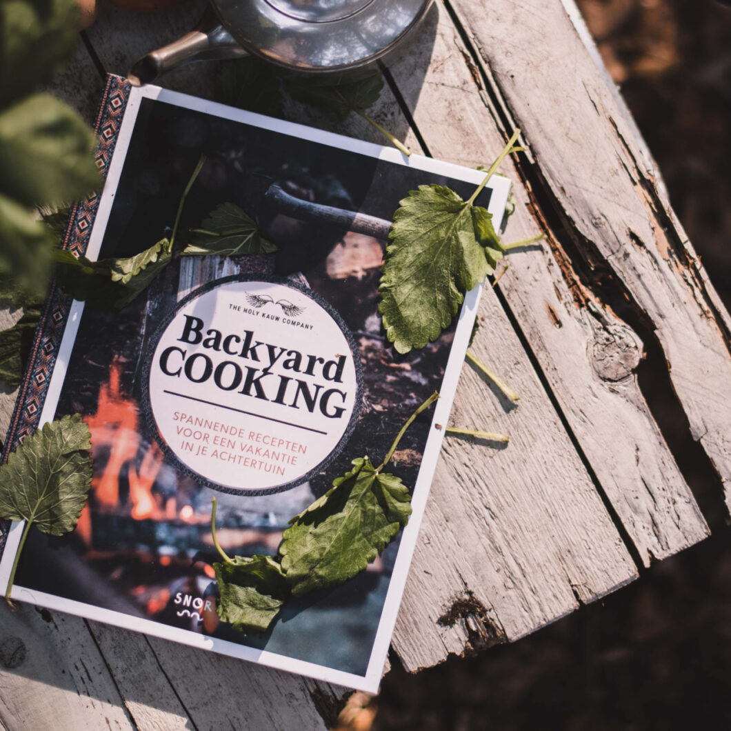 bbq boek backyard cooking