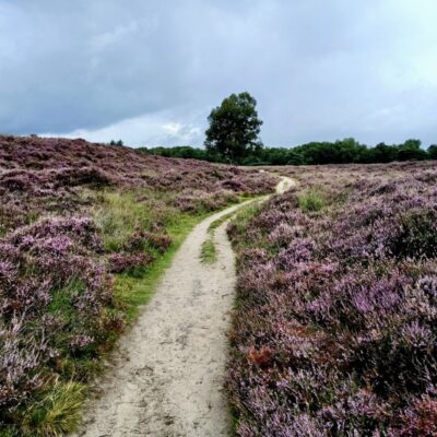 pieterpad lopen, etappe Rolde