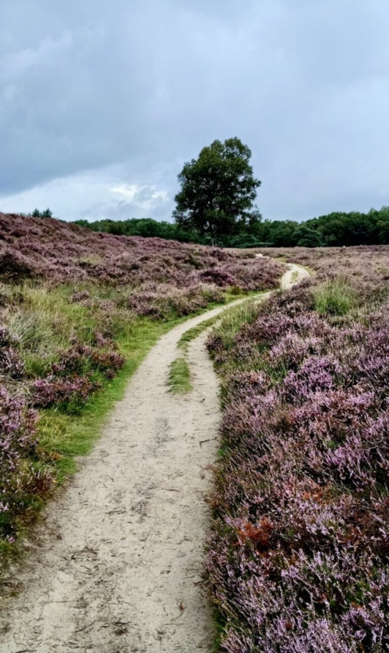 pieterpad lopen, etappe Rolde