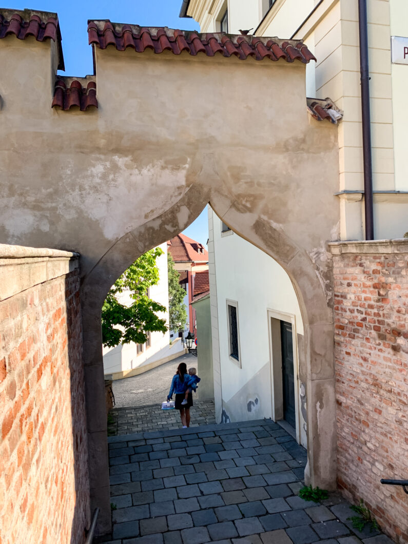 walking tour brno