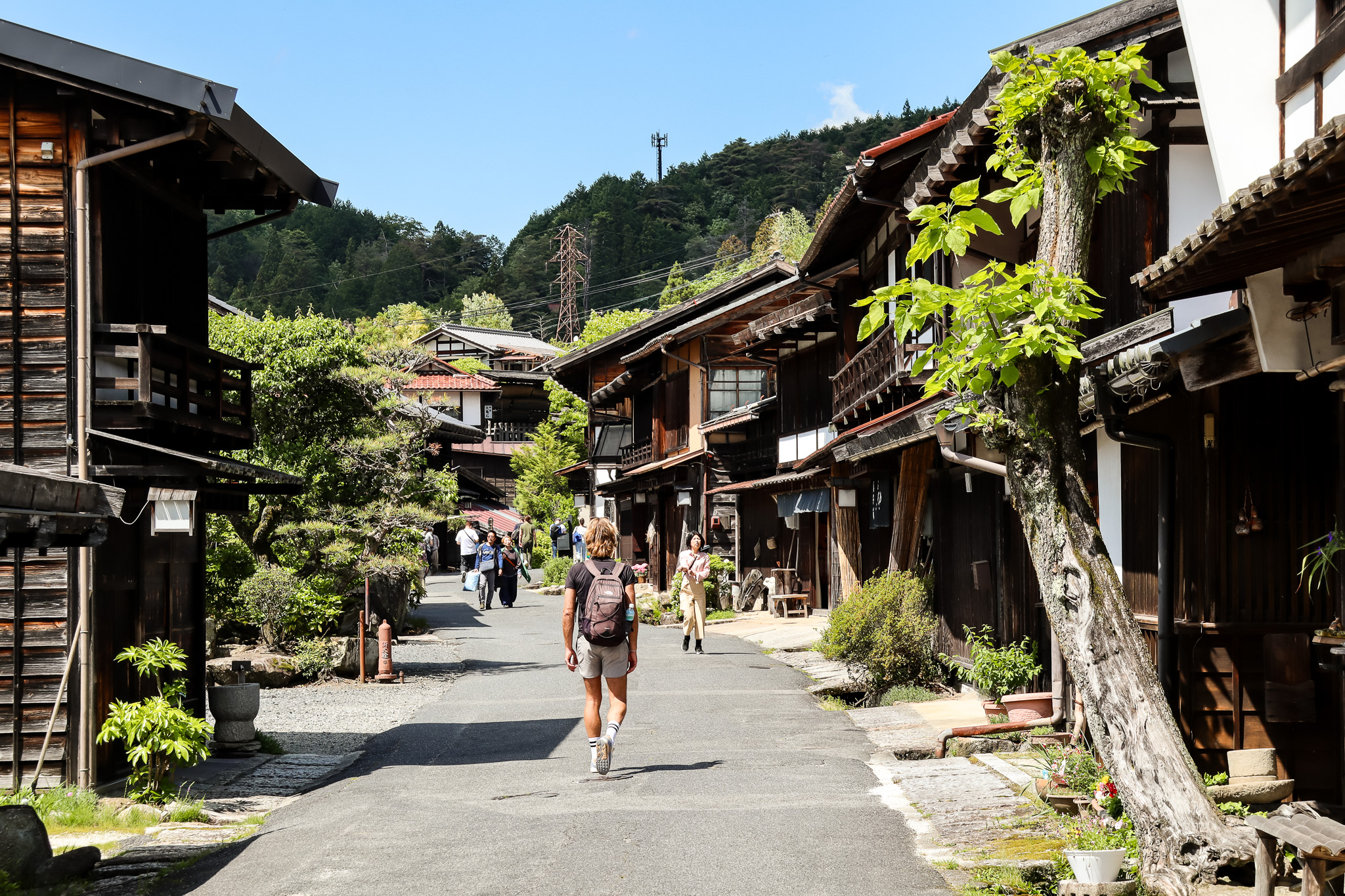 Wat te doen in Japan? De leukste activiteiten en dagtrips
