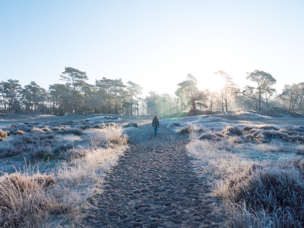 boswandeling kerst